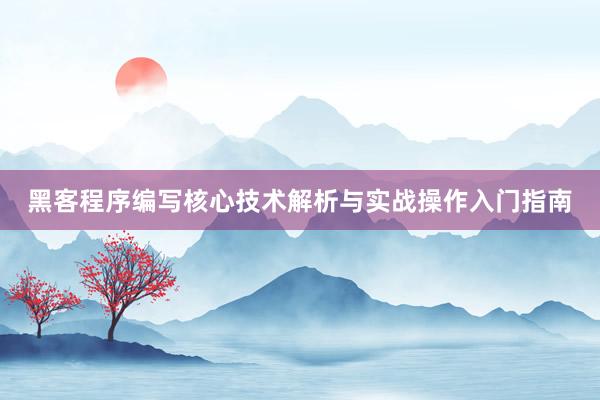 黑客程序编写核心技术解析与实战操作入门指南